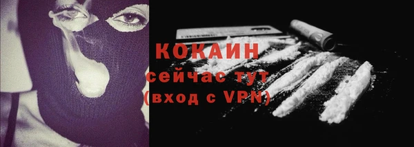 сатива Нязепетровск