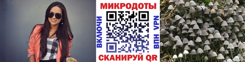 Галлюциногенные грибы GOLDEN TEACHER Тайга
