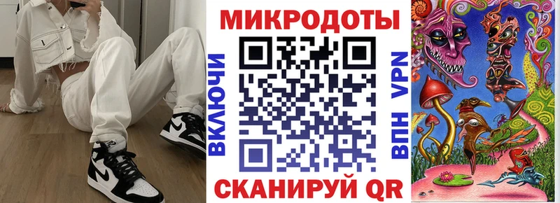 OMG   Тайга  Галлюциногенные грибы Cubensis 