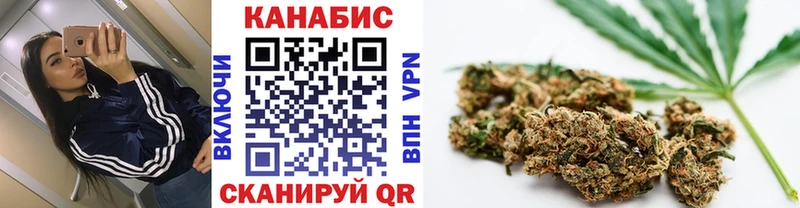 купить  цена  Тайга  МАРИХУАНА ГИДРОПОН 
